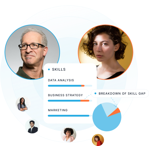 data profiling Skill Gap