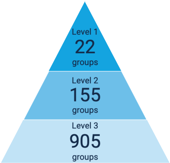 occupational classification levels group